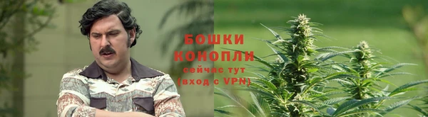 хмурый Козельск