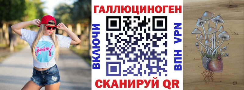 Псилоцибиновые грибы мухоморы  где можно купить наркотик  ссылка на мегу ссылки  Пошехонье 